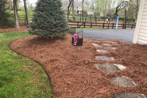 Longleaf Pine Straw Bale — TryPinestraw.com (Cincinnati Pine Mulch LLC)