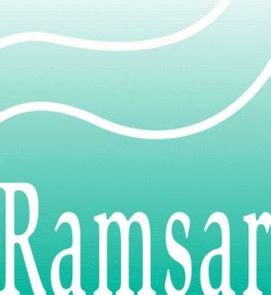 List of Ramsar sites in Australia Facts for Kids