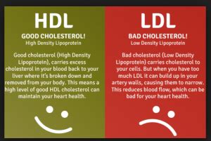 How to Lower Your Elevated LDL Cholesterol | Team Live It