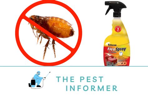 5 Pet Safe Flea Sprays For Your Home – Reviews, Toxicity & Benefits in 2023