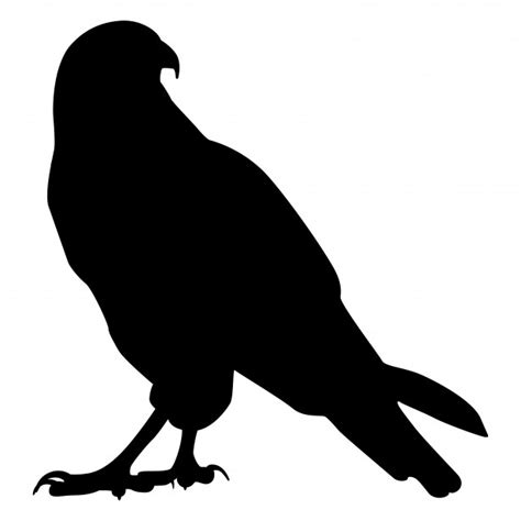 Silhouette Of Falcon Free Stock Photo - Public Domain Pictures