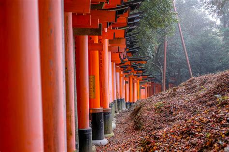 Fushimi Inari Shrine (1000 torii gates) - Tourist in Japan