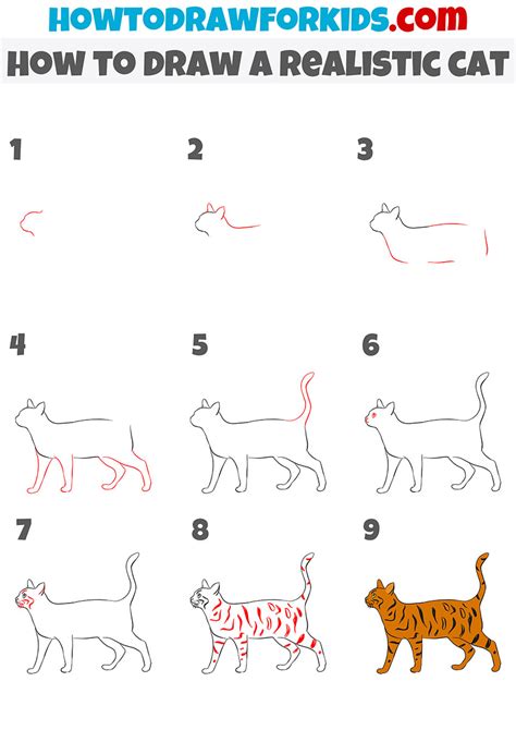 How to Draw a Realistic Cat - Easy Drawing Tutorial For Kids