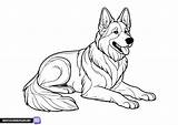 Printable German Shepherd coloring page  Free pages sketch template