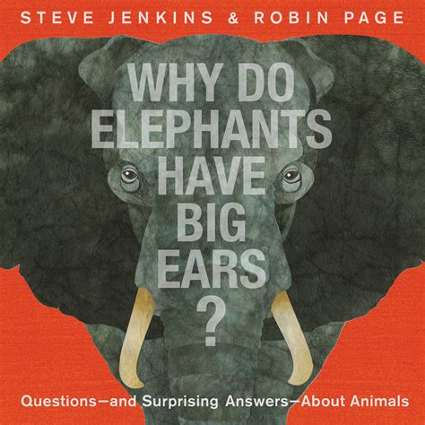 Why Do Elephants Have Big Ears? by Steve Jenkins | Hachette Book Group