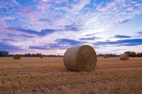 Straw Bales After Harvest At Sunset Time Stock Photo - Image of nature ...