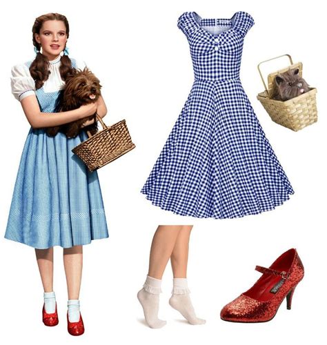 Wizard of OZ - Dorothy Costume for Adults (with clothes from your ...