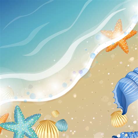 Summer Background Vector Material, Shell, Sea, Shading Borders ...