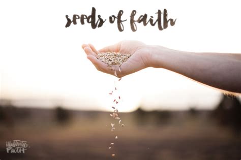 Seeds of Faith - Illustrated Faith