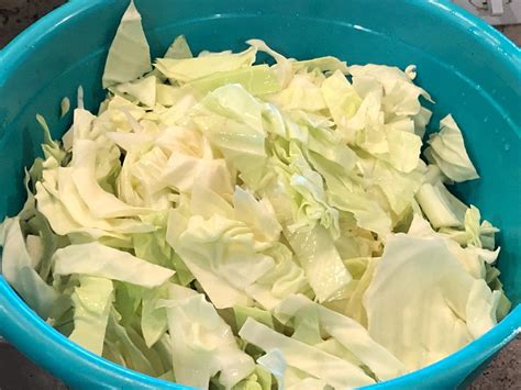 Preserving Your Harvest - Cabbage - The Homestead Life | Cabbage, Freezing cabbage, How to ...