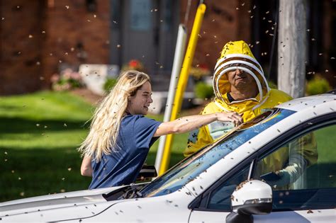 ‘Bee Emergency’: How Beekeepers Got 5 Million Bees Off a Road in Canada ...