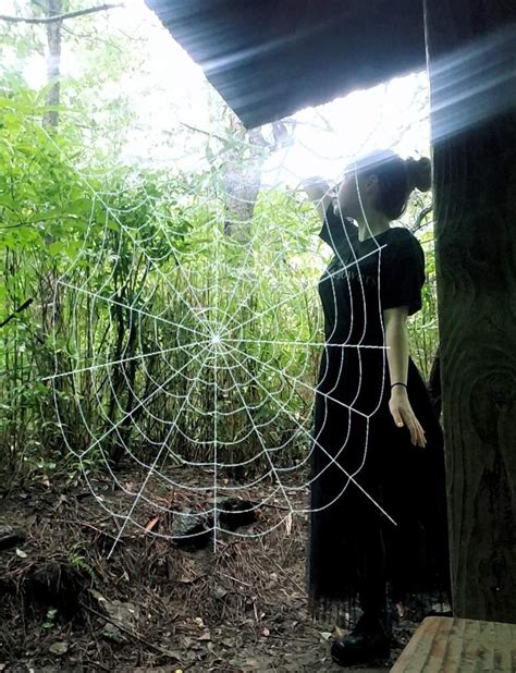 Joro Spider- Golden Orb Weavers | Pagans & Witches Amino