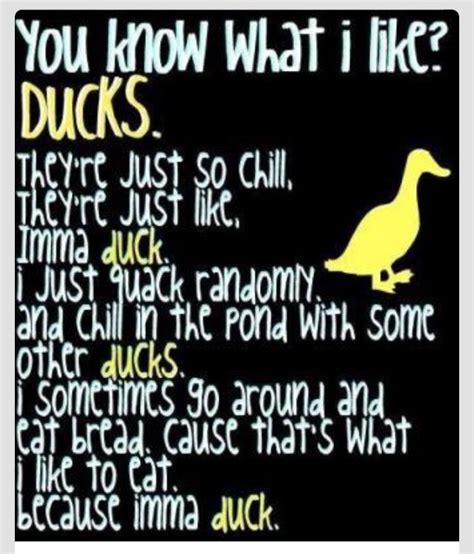 Funny Duck Quotes - ShortQuotes.cc