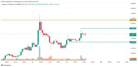 DOGE Price Analysis for January 29