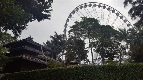 The Wheel Of Brisbane Southbank - Free photo on Pixabay - Pixabay