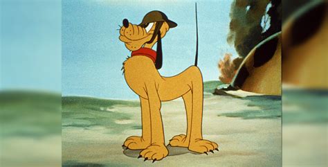 PLUTO The Dog Disney LIFESIZE CARDBOARD CUTOUT STANDEE STANDUP classic Greeting Cards & Party ...