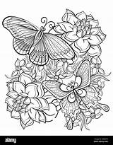 Black And White Coloring Pages For sketch template