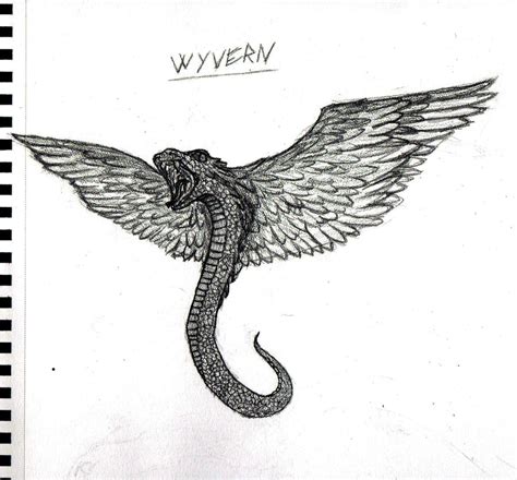 Wyvern Drawing : Learn How To Draw A Dragon Head (dragons) Step By Step : Drawing Tutorials ...