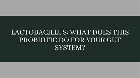 Lactobacillus: What Does This Probiotic Do For Your Gut System by Floré ...