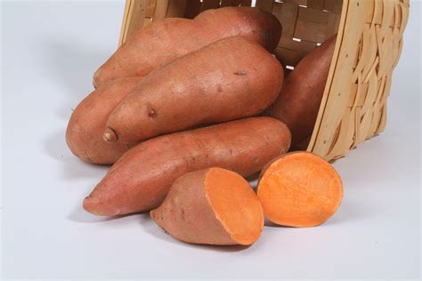 Sweet Potato Variety Descriptions