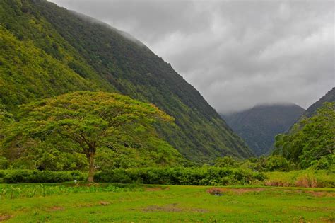 Trip Guide Waipio Valley Hawaii - XciteFun.net