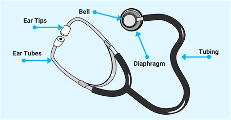 The 7 Parts of a Stethoscope Labeled: An Overview (2024)