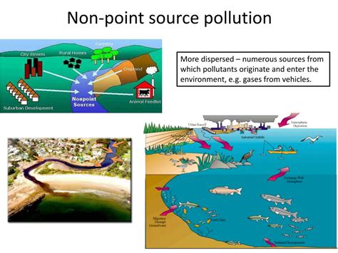 PPT - Types of pollution PowerPoint Presentation, free download - ID ...