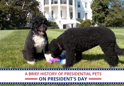 A Brief History of the Presidential Pets on President’s Day