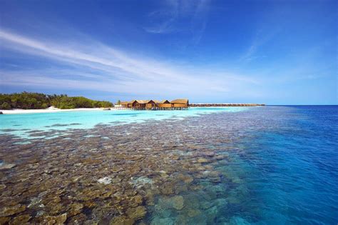 Lily Beach Resort & Spa, Luxury in the Maldives - Brides Travel