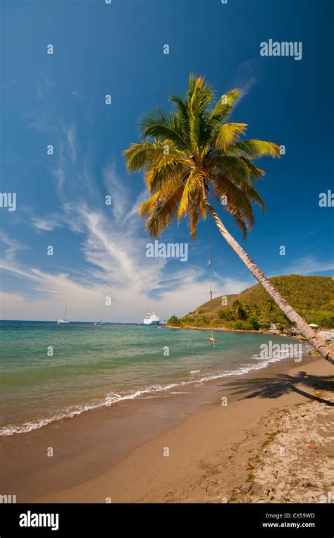 Dominica purple turtle beach hi-res stock photography and images - Alamy