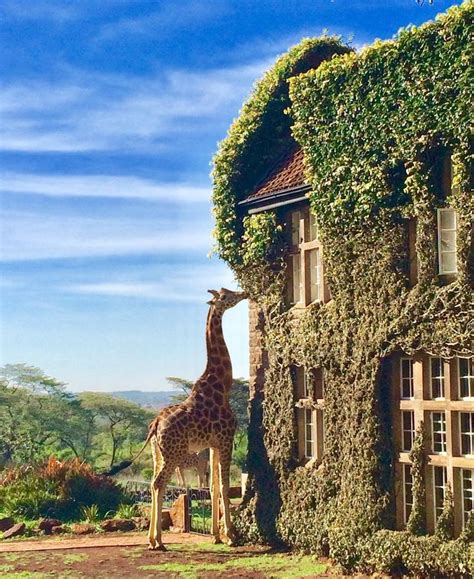 Giraffe Manor, Nairobi, Kenya, Safari, Animal, Hotel, Travel, Tourist ...