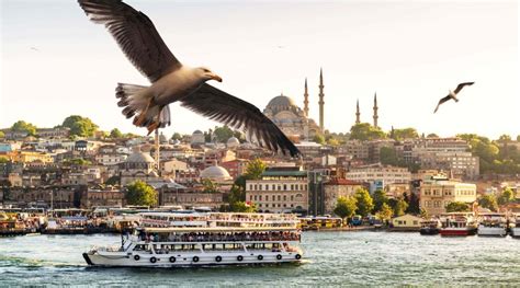 Afternoon Bosphorus Cruise Tour | Istanbul City Tours