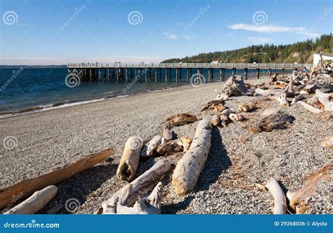 Kayak Point Park Beach stock photo. Image of logs, stanwood - 29268036