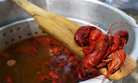 Live Crawfish featured on Fruge Seafood's Market Report