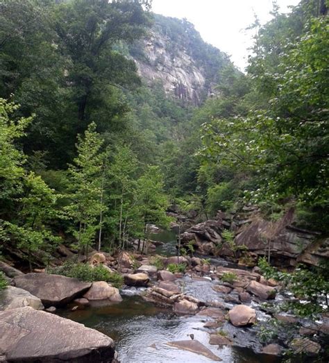 Jeff Samsel Fishing: Visit Georgia State Parks for Free