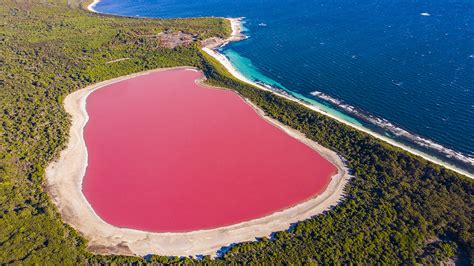 Picturesque: The World Famous Pink Lake Will Amaze You (Video)