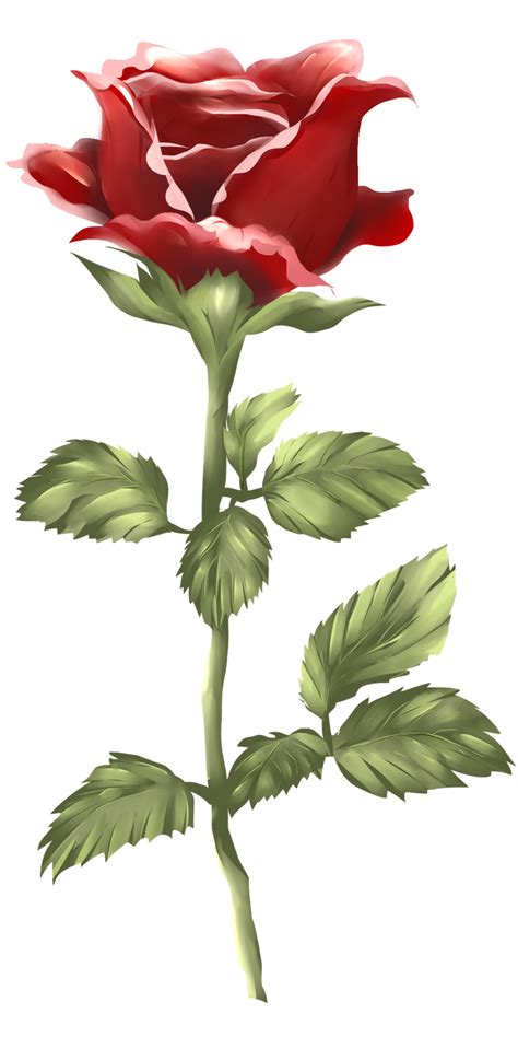 one red rose watercolor illustration 10337378 PNG