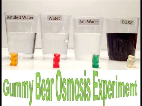 Gummy Bear Experiment