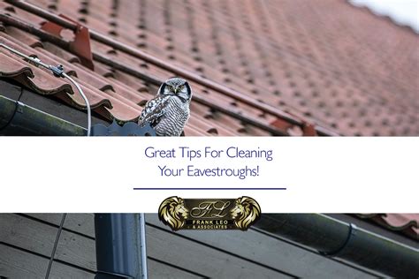 Great Tips For Cleaning Your Eavestroughs! - Frank Leo & Associates