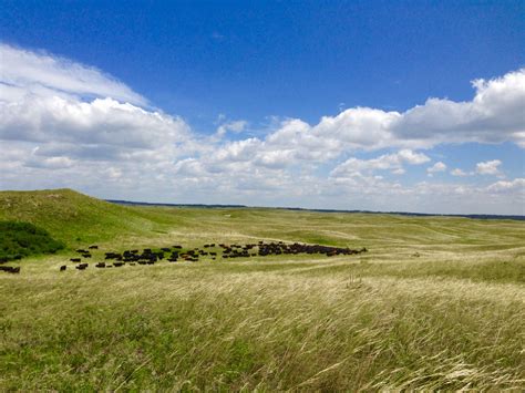 Wanted - Permanent Ranch Hand for Sandhills Ranch - Nebraska (no longer ...