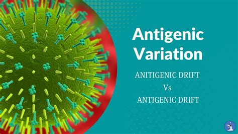 Antigenic variation - Antigenic Drift Vs Antigenic Shift - YouTube