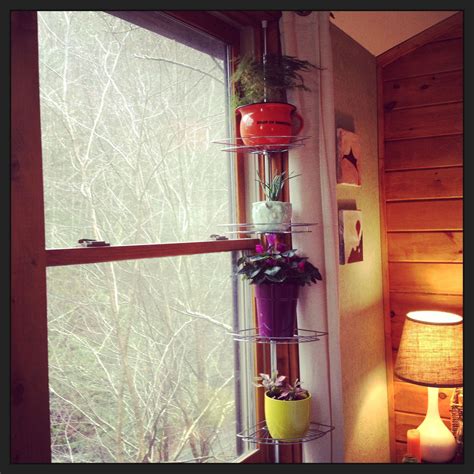 Tension rod shower caddy as window plant stand. This would be perfect ...