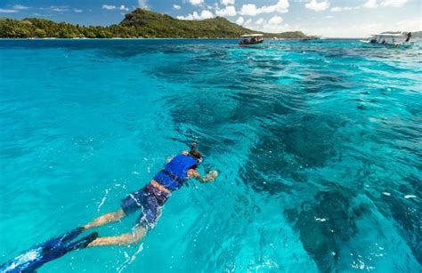 Snorkeling on Bora Bora Island