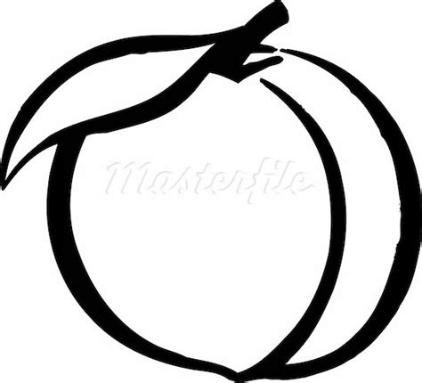 Peach Clipart Black And White | Free download on ClipArtMag