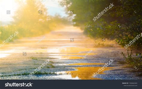 Sun After Rain: Over 30,752 Royalty-Free Licensable Stock Photos | Shutterstock