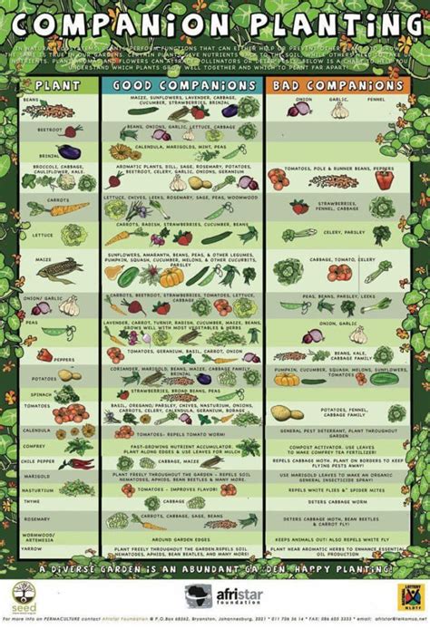 Vegetable Garden Layout: 7 Best Design Secrets - A Piece Of Rainbow