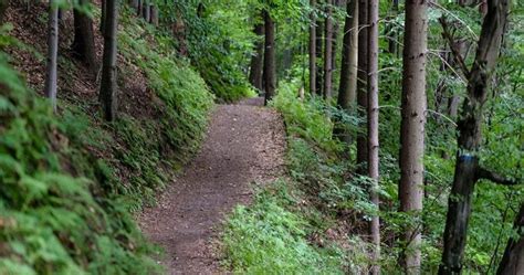 20 Best Hiking In Houston: Amazing Trails And Spots Around The City ...