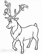 Reindeer / Caribou Coloring Book Page sketch template