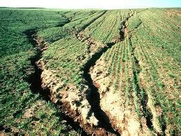 Agriculture practices to reduce the soil erosion - The Water Network | by AquaSPE