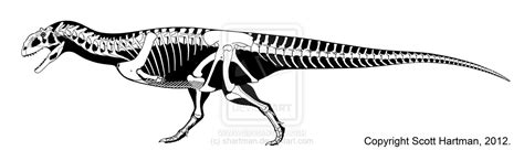 Image - Majungasaurus - 2(Skeletal(Scott Hartman)).jpg | Dinosaur Wiki ...